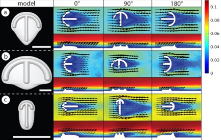 Image of CFD results
