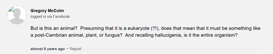 Image of CFD results